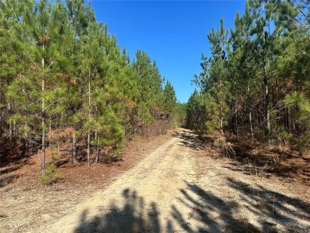 Picture 16
