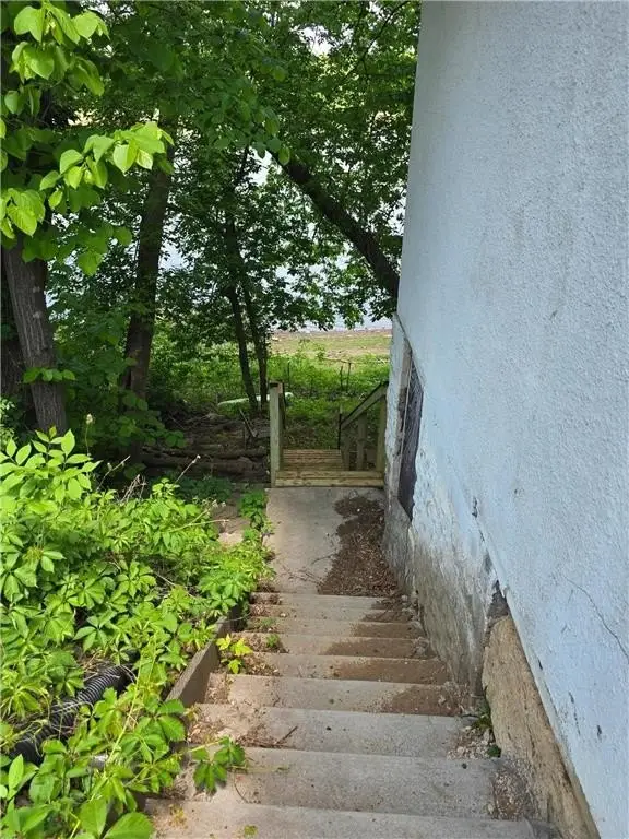 Picture 5
