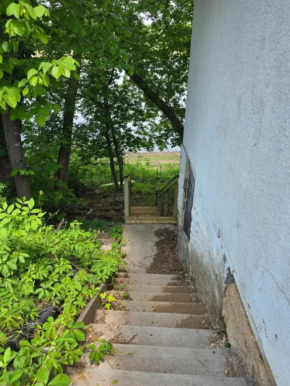 Picture 5