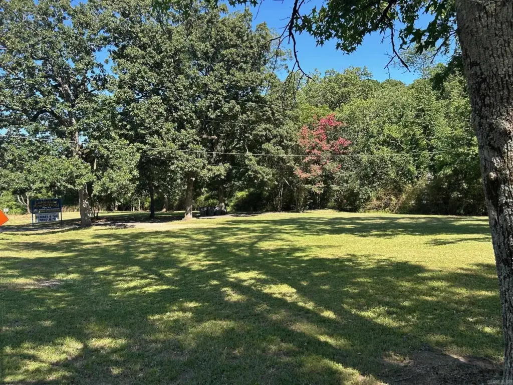 Picture 16