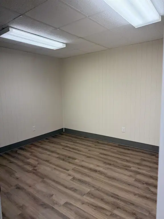 Picture 5