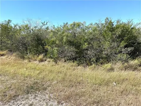 135-Acre Ranch in Duval County