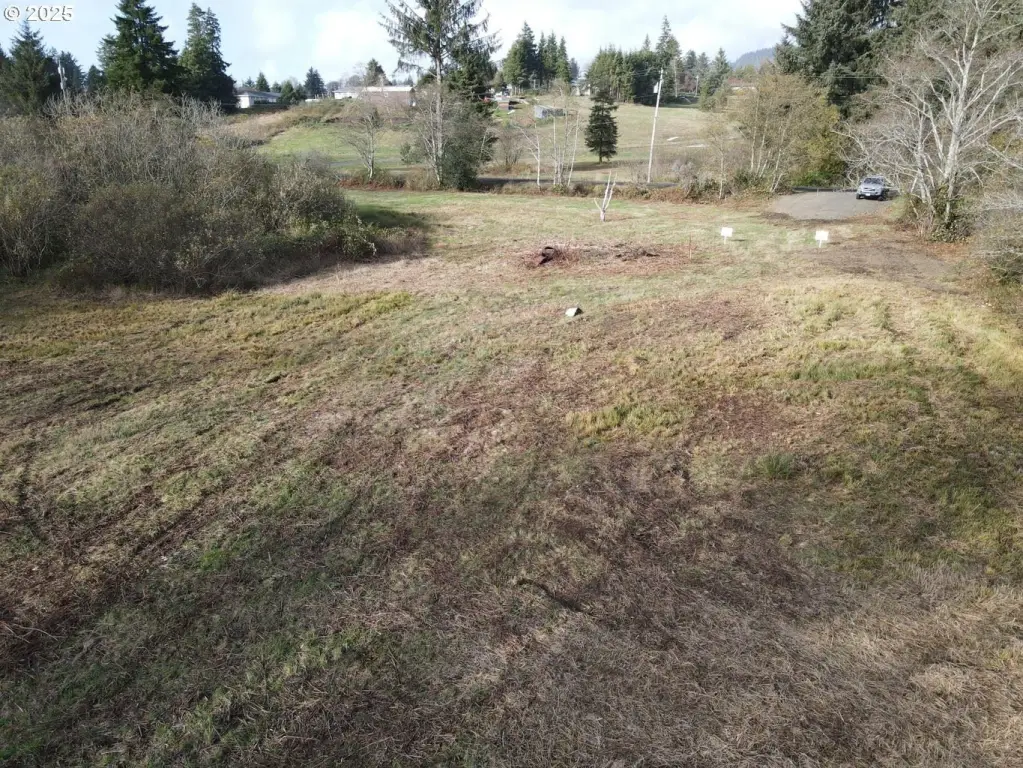 Picture 23