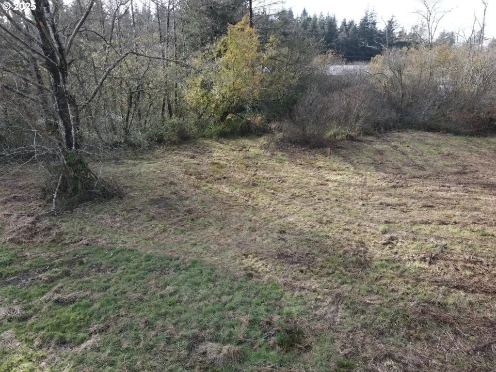 Picture 21