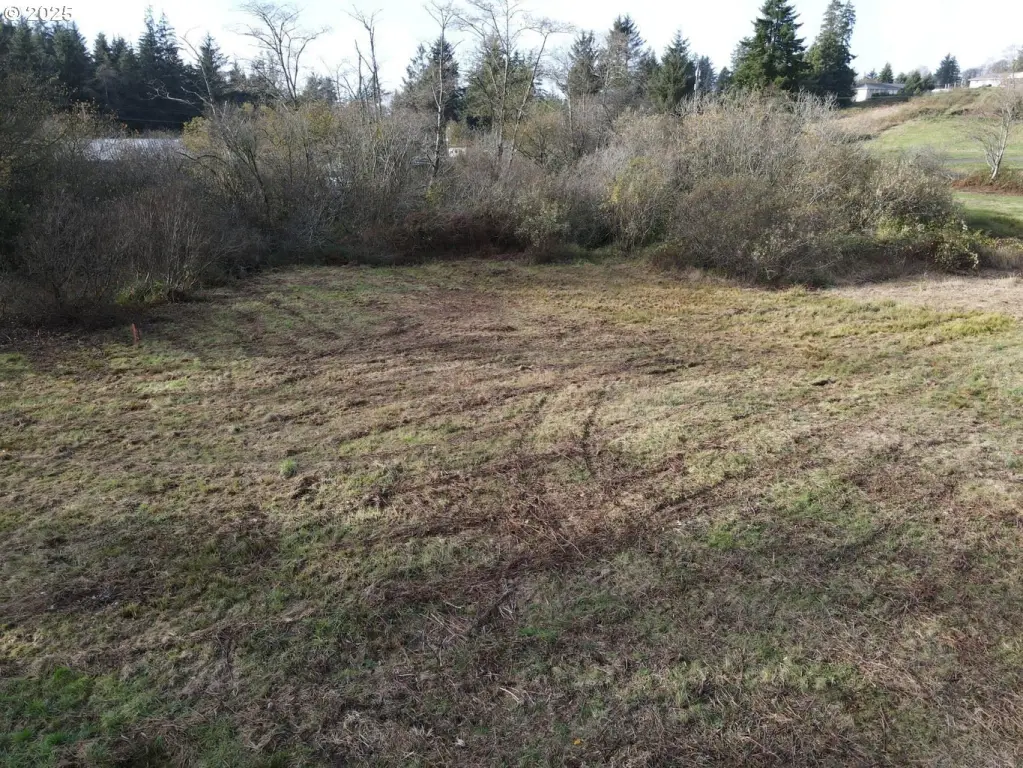 Picture 22