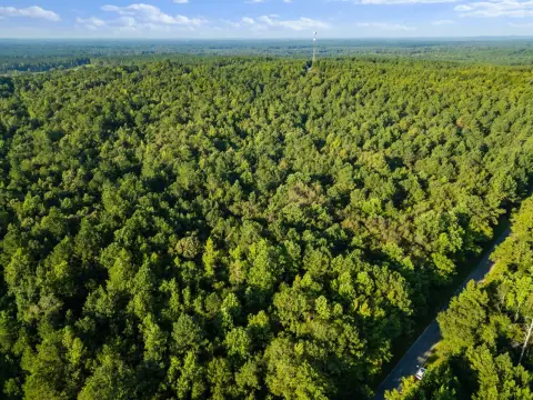 Lauderdale County Wooded Acreage