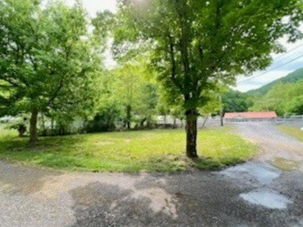 Picture 6