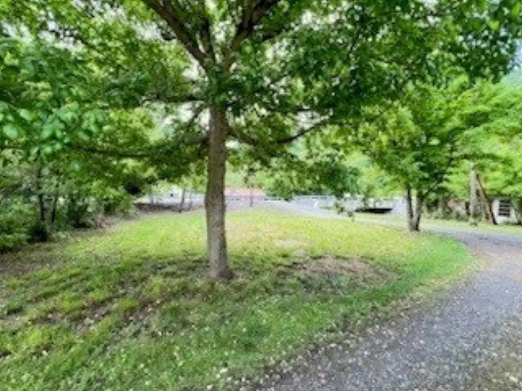 Picture 5