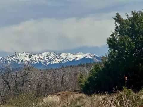 38+ Acres with Mountain Views