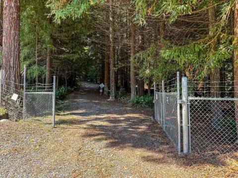 Redwood Tree Farm