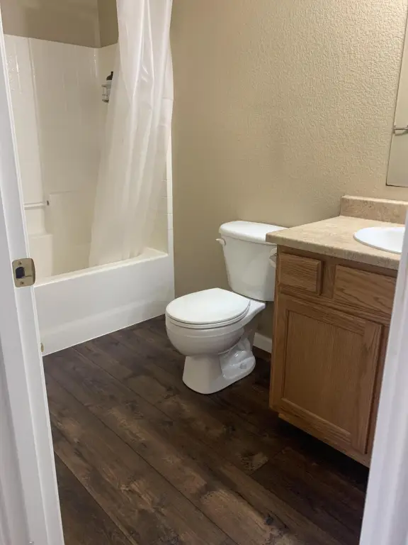 Picture 14