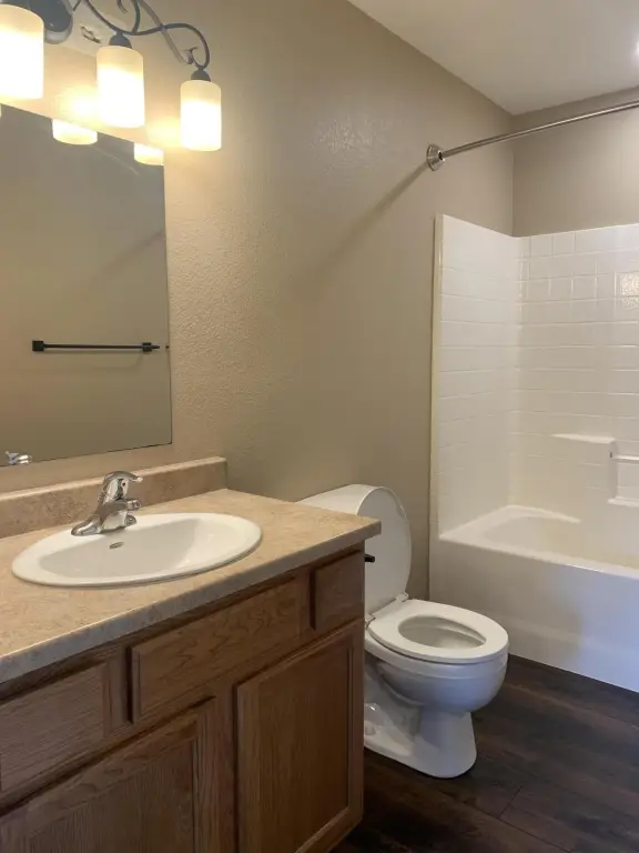 Picture 19