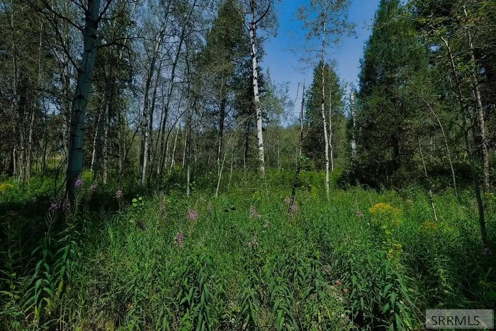 Picture 2