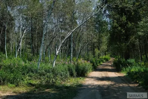 Recreation Land with National Forest Access