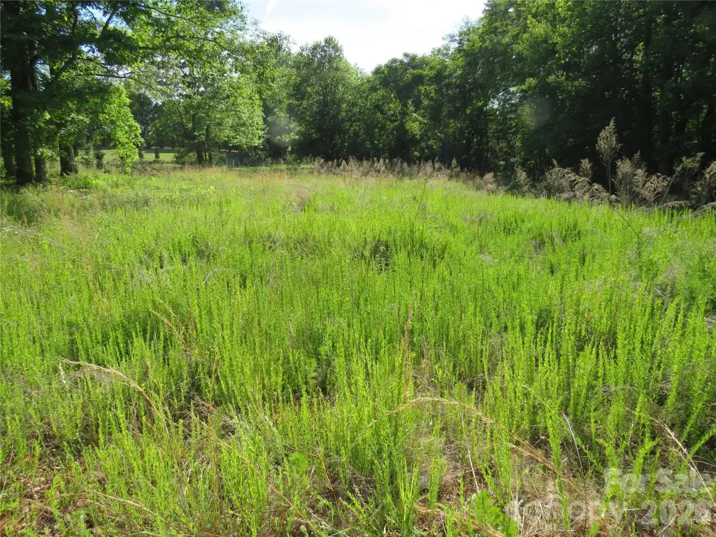 Picture 3