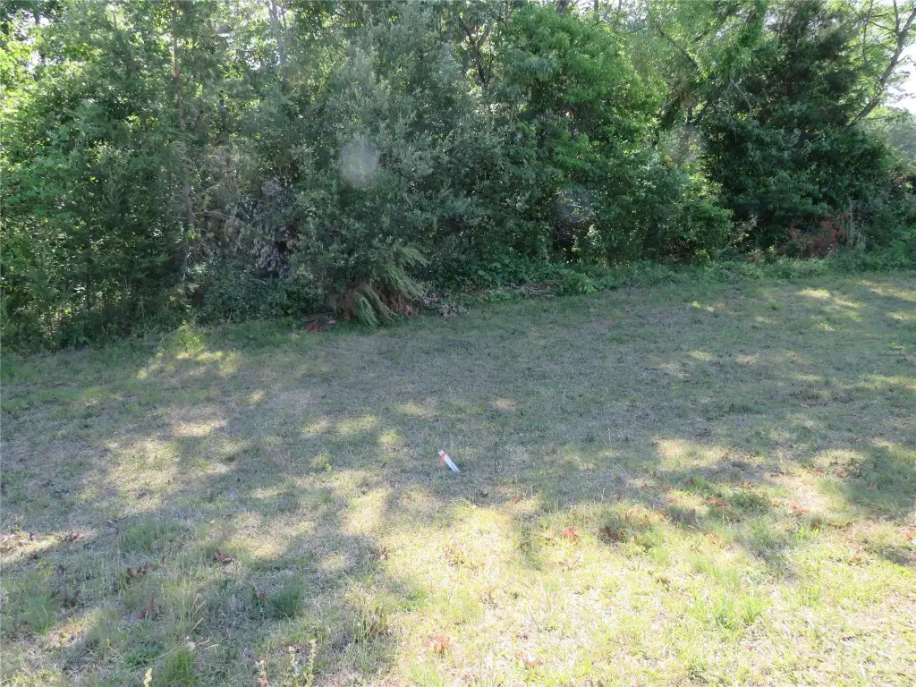 Picture 15