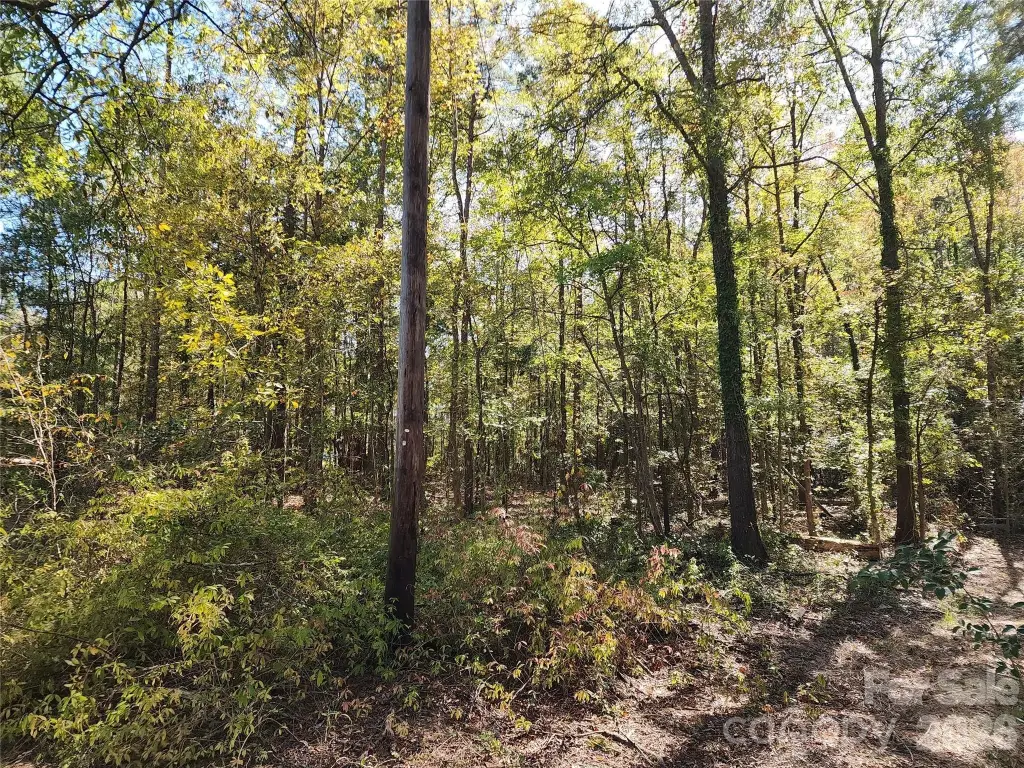 Picture 25