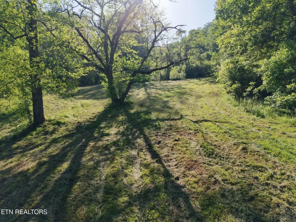 Picture 25
