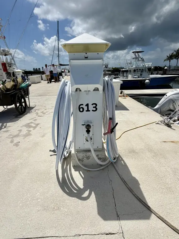 Picture 5