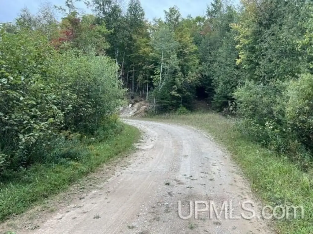 Picture 20