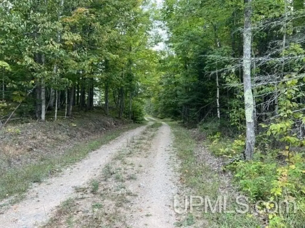 Picture 18