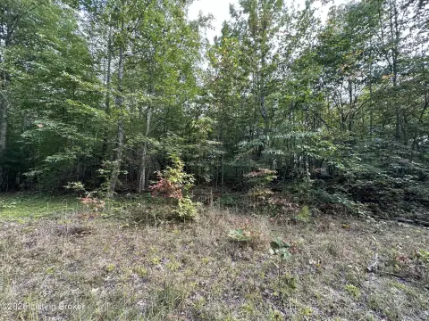 Land Near Lake Cumberland
