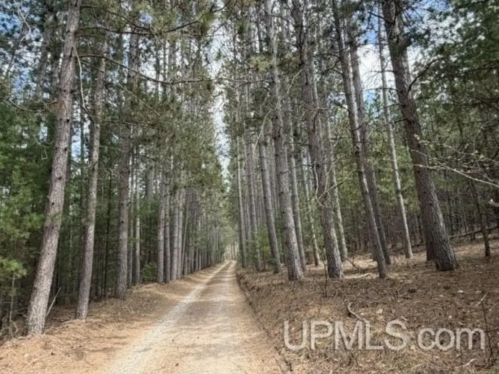 Picture 4