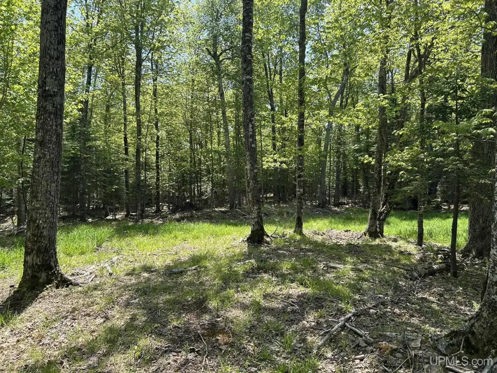 Picture 4