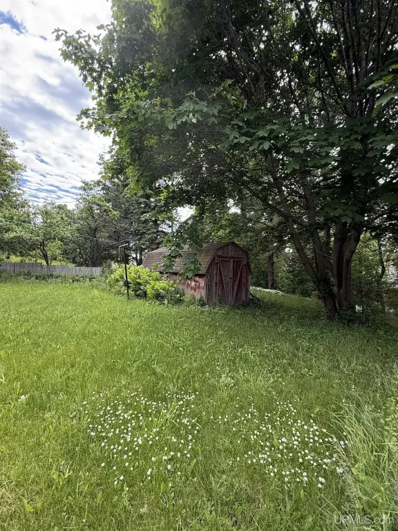 Picture 6