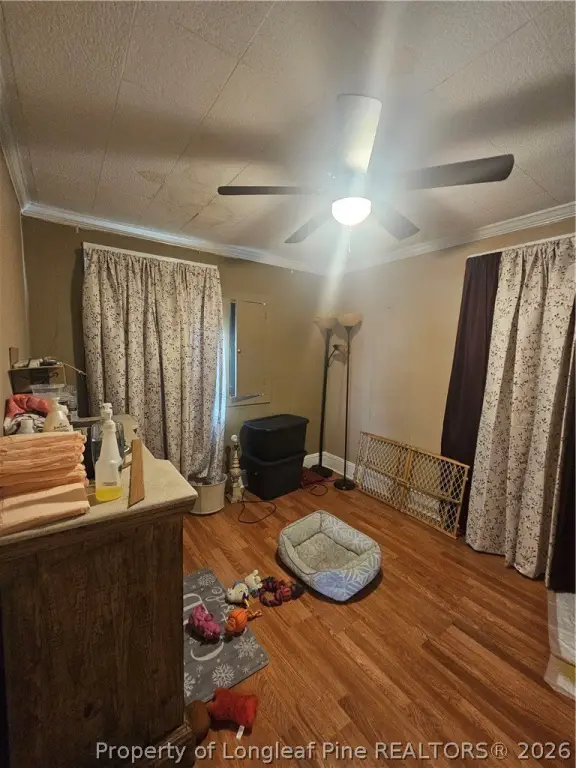 Picture 16