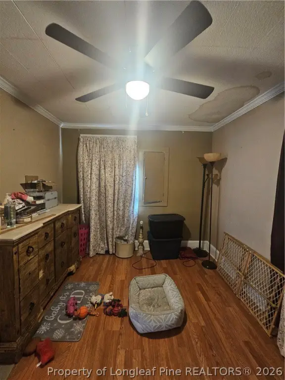 Picture 17