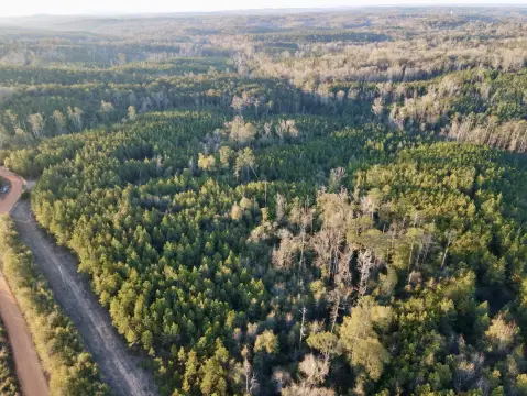 Vacant Land in Whatley, AL