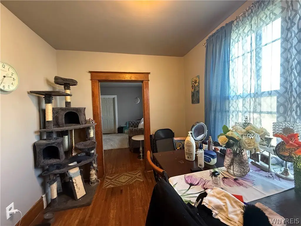 Picture 5