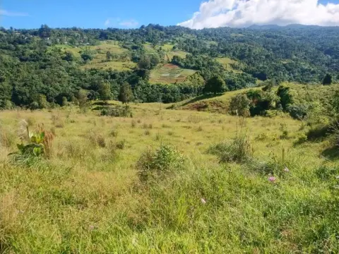 Pristine Farm with River Access