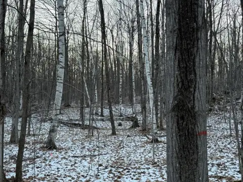 Door County Buildable Wooded Acres