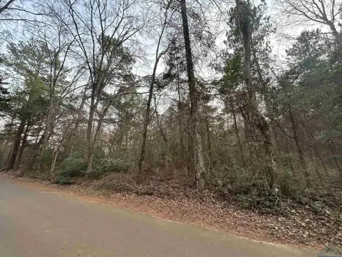 Unrestricted Land with Mature Trees