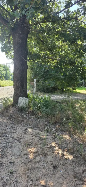 Picture 13