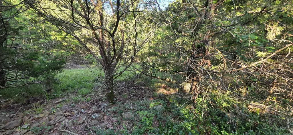 Picture 34