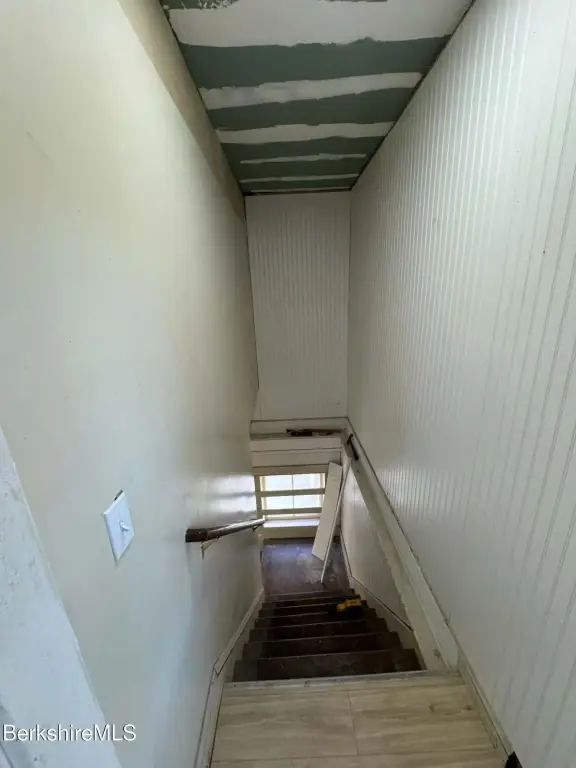 Picture 24