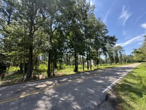 Residential Land in Walker, Louisiana