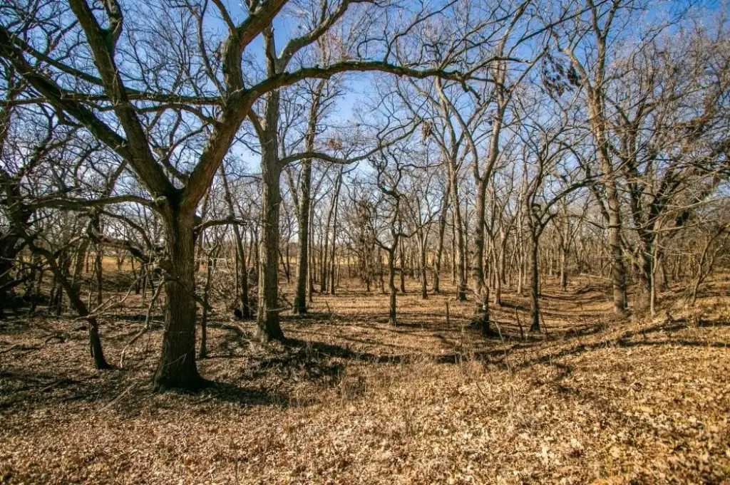Picture 43