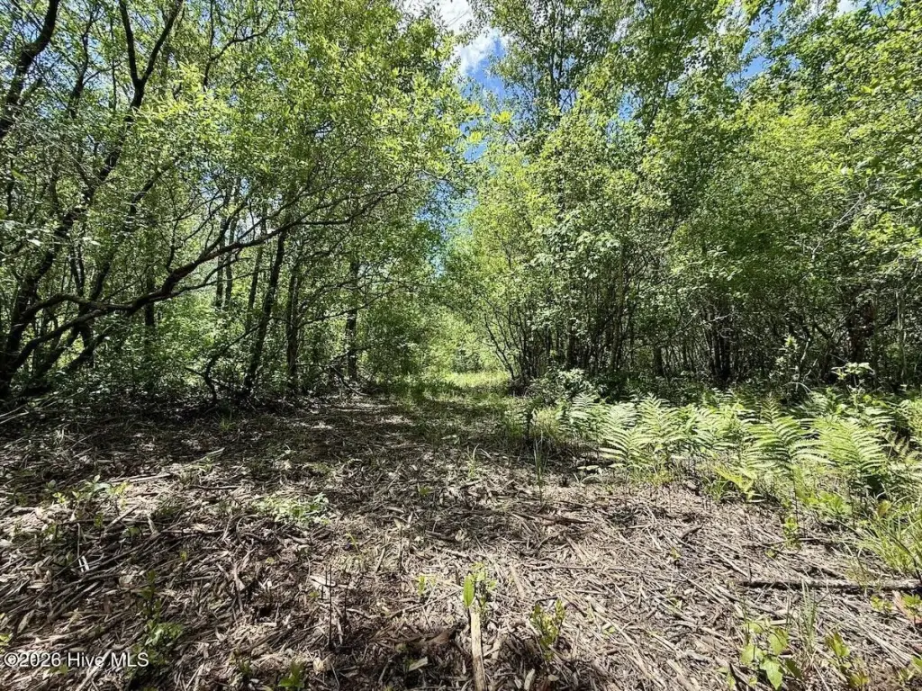 Picture 26