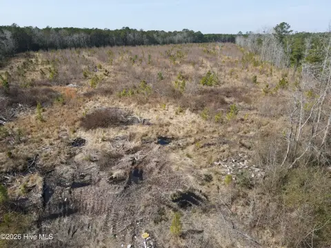 Woodland Land for Recreation, Hunting