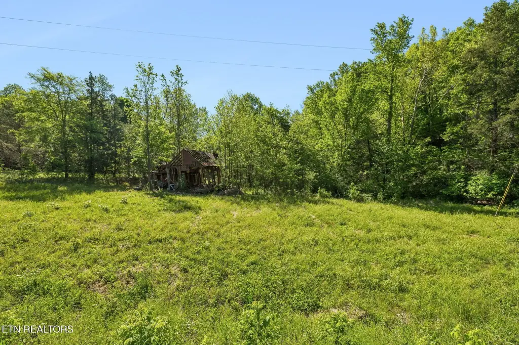 Picture 3