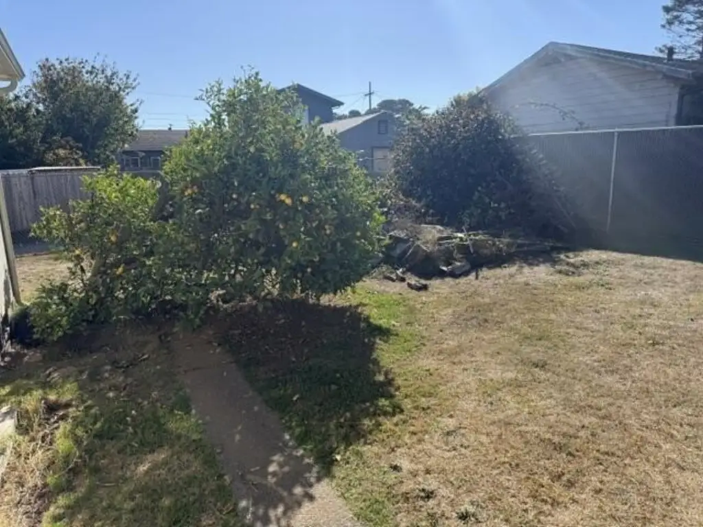 Picture 26