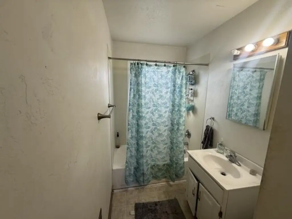 Picture 19