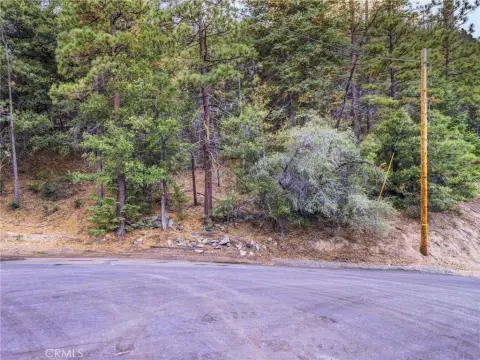 Pine Mountain Club Land Opportunity