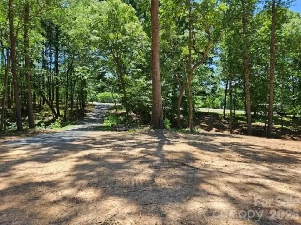 Picture 8