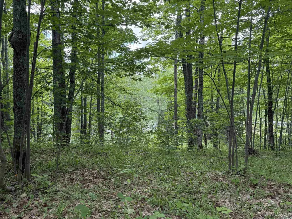 Picture 12