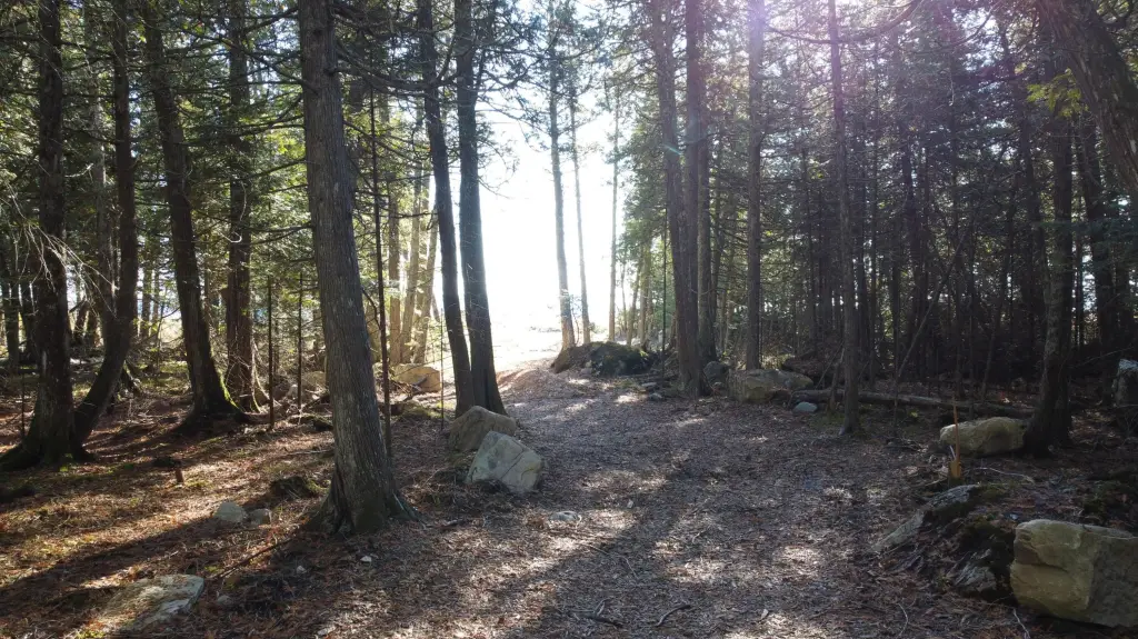 Picture 5